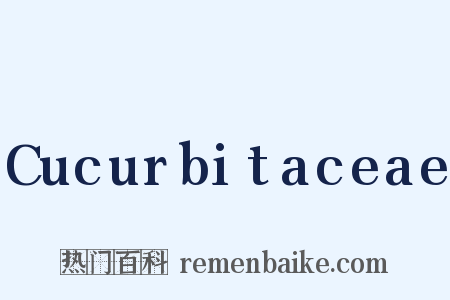 Cucurbitaceae是什么意思的图片